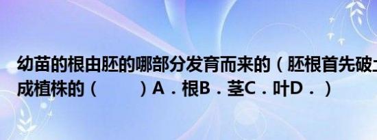 幼苗的根由胚的哪部分发育而来的（胚根首先破土而出发育成植株的（　　）A．根B．茎C．叶D．）