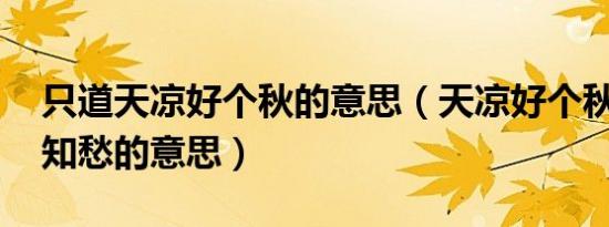 只道天凉好个秋的意思（天凉好个秋,风清不知愁的意思）