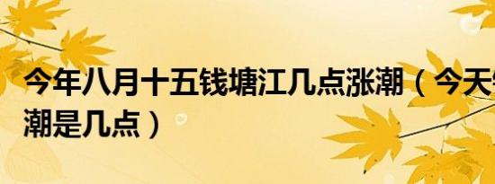 今年八月十五钱塘江几点涨潮（今天钱塘江涨潮是几点）