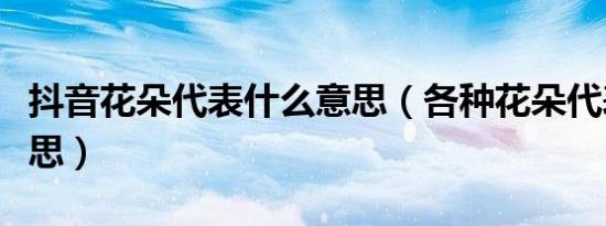 抖音花朵代表什么意思（各种花朵代表什么意思）