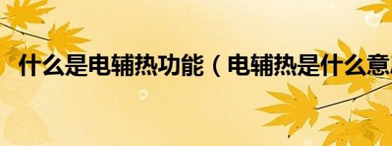 什么是电辅热功能（电辅热是什么意思啊）