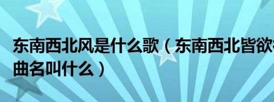 东南西北风是什么歌（东南西北皆欲往打一歌曲名叫什么）