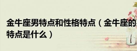 金牛座男特点和性格特点（金牛座的男人性格特点是什么）