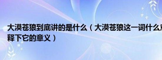 大漠苍狼到底讲的是什么（大漠苍狼这一词什么意思帮忙诠释下它的意义）