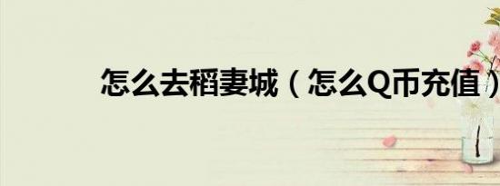 怎么去稻妻城（怎么Q币充值）