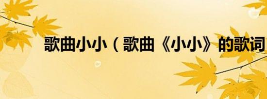 歌曲小小（歌曲《小小》的歌词）