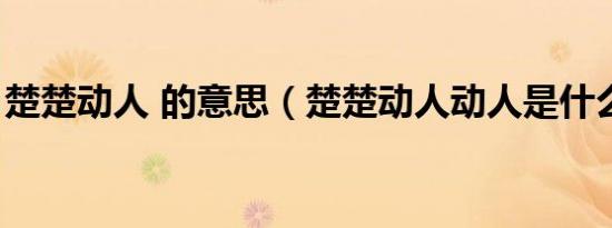 楚楚动人 的意思（楚楚动人动人是什么意思）