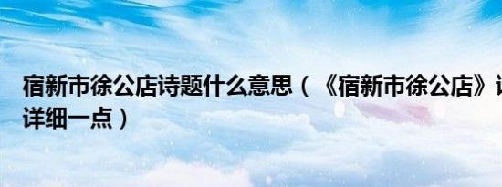 宿新市徐公店诗题什么意思（《宿新市徐公店》诗题的意思详细一点）