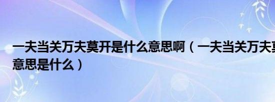 一夫当关万夫莫开是什么意思啊（一夫当关万夫莫开是什么意思是什么）