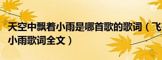 天空中飘着小雨是哪首歌的歌词（飞在风中的小雨歌词全文）