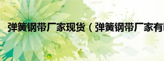 弹簧钢带厂家现货（弹簧钢带厂家有哪些）