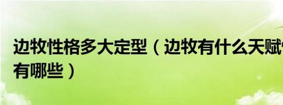 边牧性格多大定型（边牧有什么天赋性格特征有哪些）