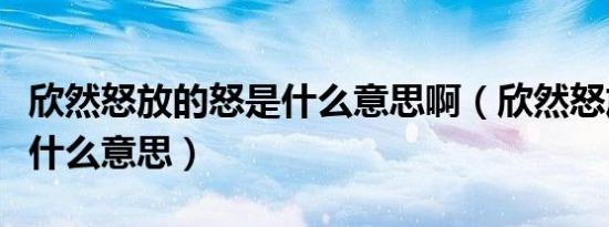 欣然怒放的怒是什么意思啊（欣然怒放的怒是什么意思）