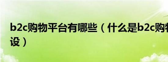 b2c购物平台有哪些（什么是b2c购物网站建设）