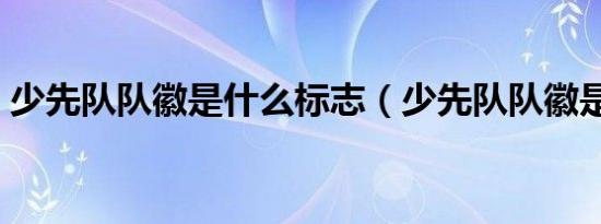 少先队队徽是什么标志（少先队队徽是什么）