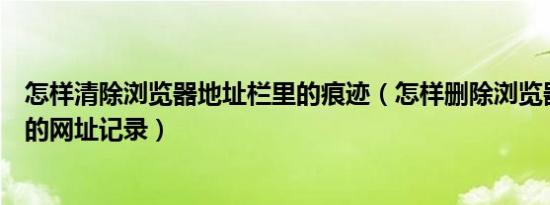 怎样清除浏览器地址栏里的痕迹（怎样删除浏览器地址栏中的网址记录）