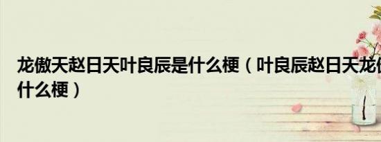 龙傲天赵日天叶良辰是什么梗（叶良辰赵日天龙傲天是谁是什么梗）