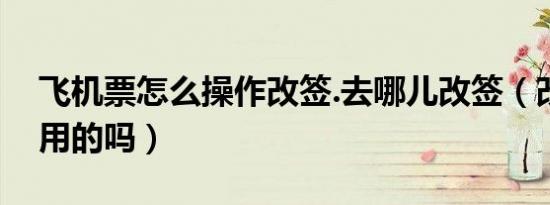 飞机票怎么操作改签.去哪儿改签（改签要费用的吗）