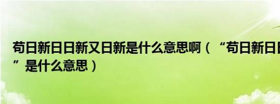 苟日新日日新又日新是什么意思啊（“苟日新日日新又日新”是什么意思）