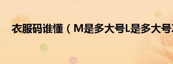 衣服码谁懂（M是多大号L是多大号X呢）