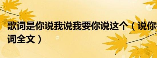 歌词是你说我说我要你说这个（说你需要我歌词全文）