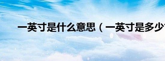 一英寸是什么意思（一英寸是多少寸）