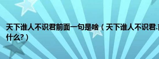 天下谁人不识君前面一句是啥（天下谁人不识君.前面一句是什么?）