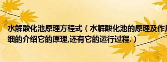 水解酸化池原理方程式（水解酸化池的原理及作用尽量的详细的介绍它的原理,还有它的运行过程.）