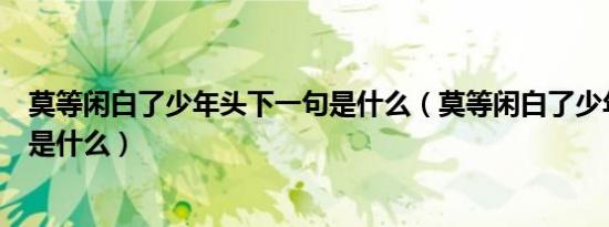 莫等闲白了少年头下一句是什么（莫等闲白了少年头下一句是什么）