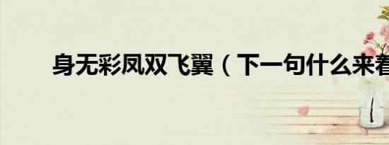 身无彩凤双飞翼（下一句什么来着）
