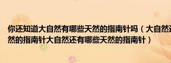 你还知道大自然有哪些天然的指南针吗（大自然还有哪些天然的指南针大自然还有哪些天然的指南针）