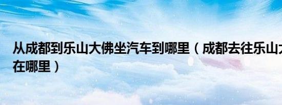 从成都到乐山大佛坐汽车到哪里（成都去往乐山大佛的车站在哪里）
