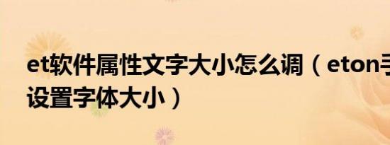 et软件属性文字大小怎么调（eton手机怎样设置字体大小）