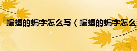 蝙蝠的蝙字怎么写（蝙蝠的蝙字怎么组词）