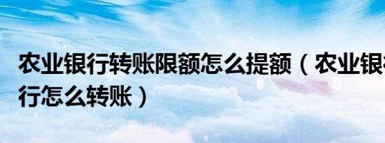 农业银行转账限额怎么提额（农业银行网上银行怎么转账）