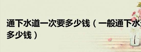 通下水道一次要多少钱（一般通下水道得需要多少钱）