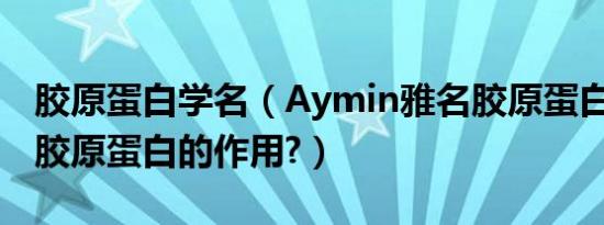 胶原蛋白学名（Aymin雅名胶原蛋白的作用?胶原蛋白的作用?）