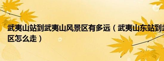 武夷山站到武夷山风景区有多远（武夷山东站到武夷山风景区怎么走）