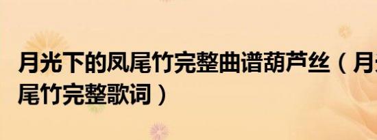月光下的凤尾竹完整曲谱葫芦丝（月光下的凤尾竹完整歌词）