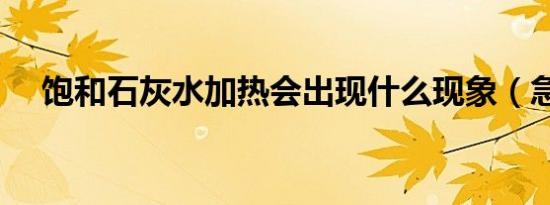 饱和石灰水加热会出现什么现象（急！）
