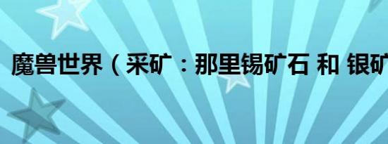 魔兽世界（采矿：那里锡矿石 和 银矿石多）
