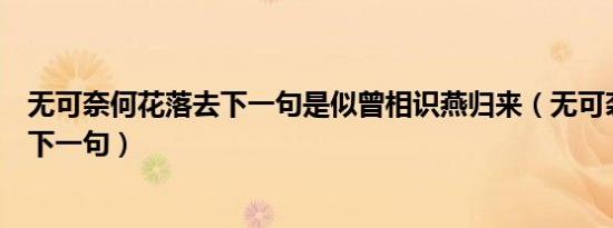 无可奈何花落去下一句是似曾相识燕归来（无可奈何花落去下一句）