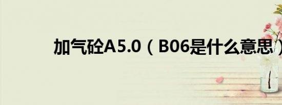 加气砼A5.0（B06是什么意思）