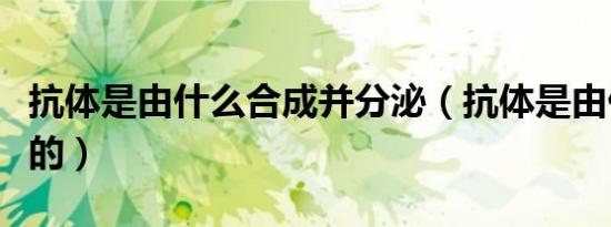 抗体是由什么合成并分泌（抗体是由什么产生的）
