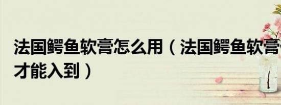 法国鳄鱼软膏怎么用（法国鳄鱼软膏什么地方才能入到）