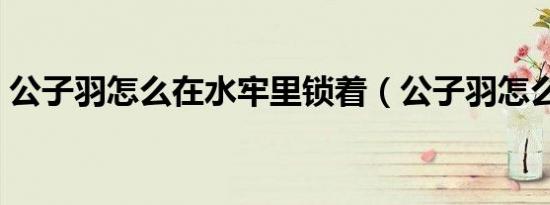 公子羽怎么在水牢里锁着（公子羽怎么死的）