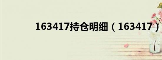 163417持仓明细（163417）