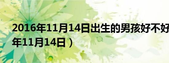 2016年11月14日出生的男孩好不好（2016年11月14日）
