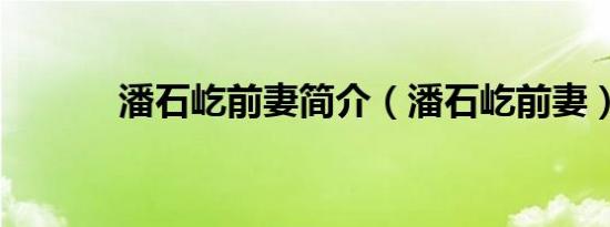 潘石屹前妻简介（潘石屹前妻）