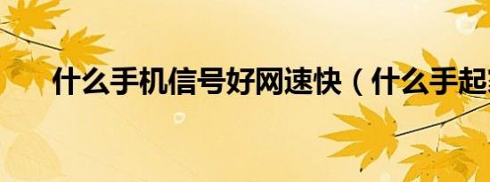 什么手机信号好网速快（什么手起家）